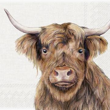 Highland Cow Lunch Napkins