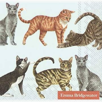 Emma Bridgewater Cocktail Cat Napkins